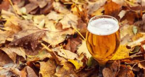 Outono: descubra quais são as cervejas mais indicadas para esse período do ano e como harmonizar com pratos típicos dessa estação