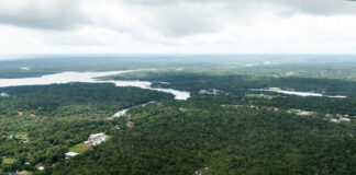 Desmatamento na Amazônia tem queda de 68% em abril em relação a 2022
