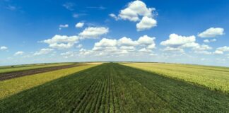 Área do Matopiba é a que mais cresce em plantio no Brasil