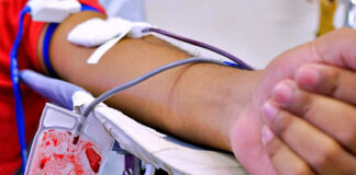 No Maranhão, mais de 88 mil doações de sangue foram realizadas em 2022