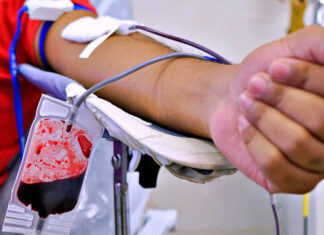 No Maranhão, mais de 88 mil doações de sangue foram realizadas em 2022