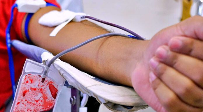 No Maranhão, mais de 88 mil doações de sangue foram realizadas em 2022