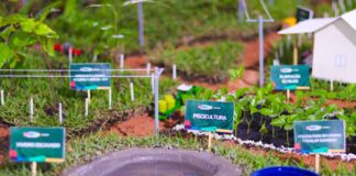 Sagrima é destaque na 53ª Expoimp com exposições de culturas e tecnologias