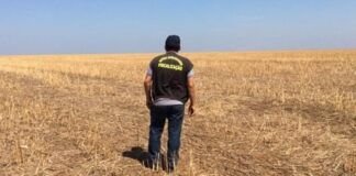 Vazio Sanitário da Soja no sul do Maranhão começa hoje e vai até 30 de setembro