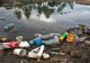 Meio ambiente não é prioridade para quem vive no Nordeste