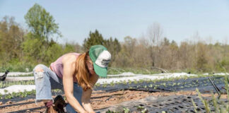 A representação feminina na produção rural do Maranhão