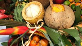 Maranhão participa de feira internacional do setor frutícola, na Espanha