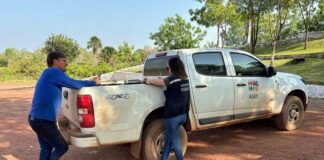 Aged intensifica fiscalizações no fim do período do vazio sanitário da soja na região de Balsas