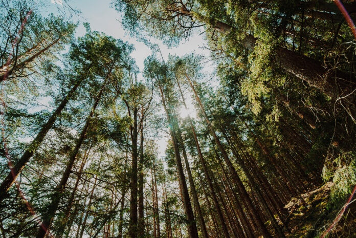 unnamed (11)