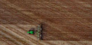 MT deve liderar o mercado de bioinsumos nesta safra de soja, avalia Produce