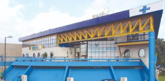 Sebrae realiza diagnóstico para impulsionar startups de impacto socioambiental