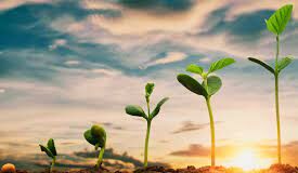 UPL conquista cinco troféus Top List e Top Rural