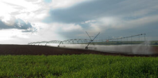 BNDES anuncia mais R$ 3 bilhões para crédito pelo Plano Safra