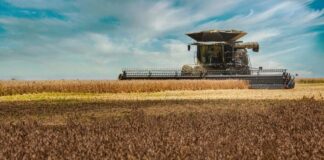 Brasil colheu 29,4% da área de soja. Veja evolução dos estados