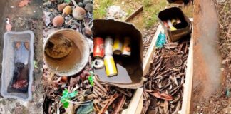 Ministério da Saúde convoca o Maranhão para Dia D contra a dengue