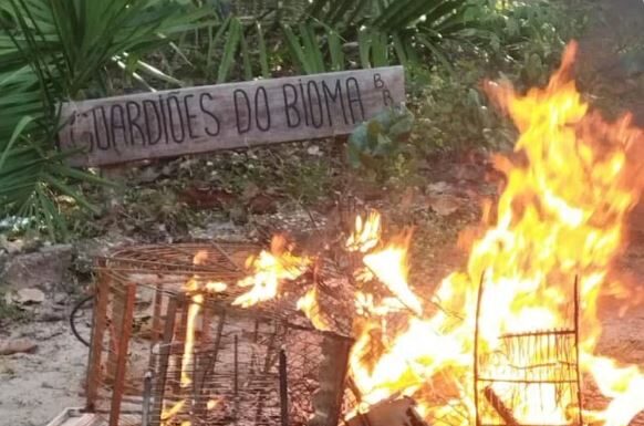Polícia prende nove pessoas durante operação contra crimes ambientais em três cidades do MA