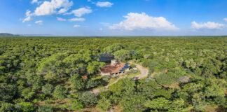 Associação Caatinga participa de série sobre os desafios e oportunidades do Mercado de carbono no Brasil