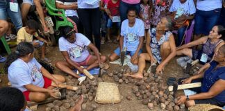 Uema abre inscrições para quebradeiras de coco babaçu e agroextrativistas cursarem nível superior
