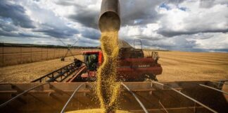 A força e união do agro