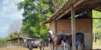 Governador do Maranhão e ministros de Estado vão participar de abertura do ENEL, em São Luís