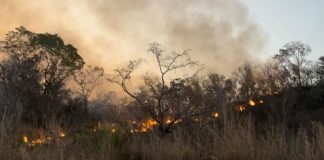 Queimadas aumentam no MA e em Balsas focos crescem a cada dia