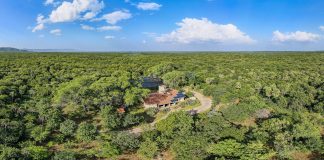 Associação Caatinga celebra 26 anos de atuação em prol da conservação do bioma Caatinga