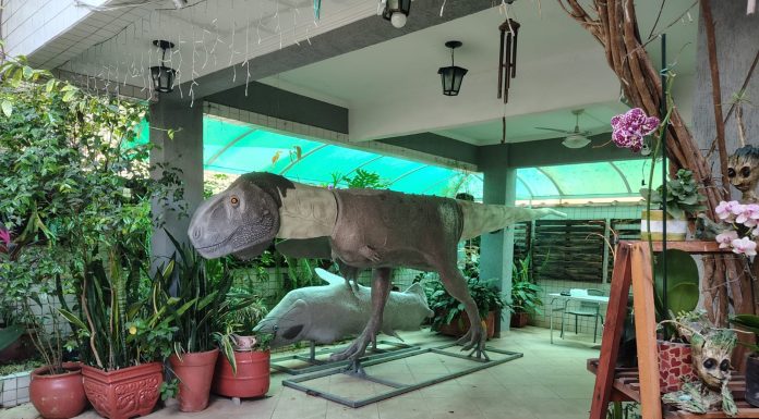 Museu de Alcântara contará com réplicas de dinossauros e animais históricos