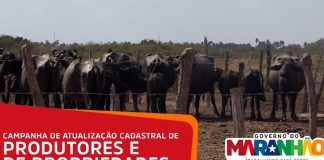 AGED anunciou campanha de atualização cadastral de produtores e de propriedades