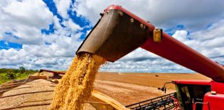 Desempenho da agricultura no Maranhão atinge R$ 11,4 bilhões em exportações em 2023