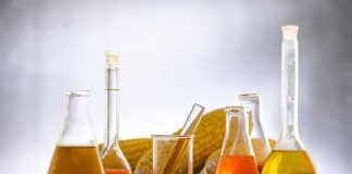 Milho para etanol: Projeção de crescimento em 2025