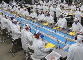 Trimestre encerrado em outubro tem a menor taxa de desocupação em 13 anos: 6,2%