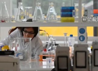 Senai atenderá 10,8 mil micro, pequenas e médias indústrias em 2025