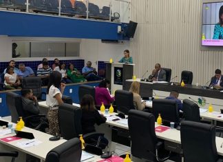 Câmaras municipais espelham a política nacional