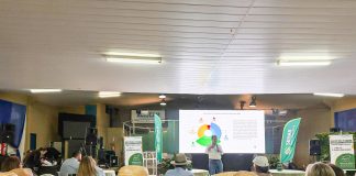 “Produtor que sabe o que quer produz melhor”, afirma pesquisador em Camapuã/MS