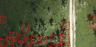 Núcleo de Pesquisa Multidisciplinar da UFMA mapeia bioativos da biodiversidade brasileira