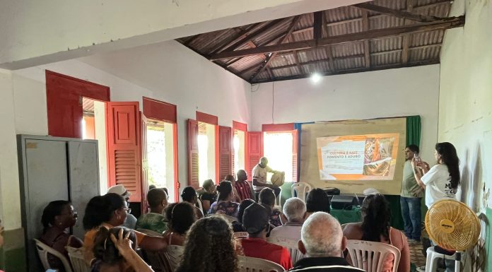 Nova etapa do Ciclo de Formação para Agentes Culturais passa por Bequimão e Cururupu; inscrições abertas