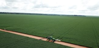 Atenção à inoculação e nutrientes no sulco de plantio