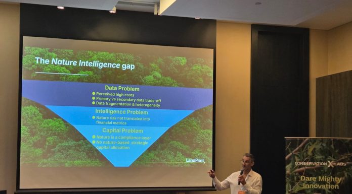 Startup brasileira entra em lista mundial de tecnologias para prevenir riscos ambientais